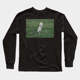 Wolves Long Sleeve T-Shirt